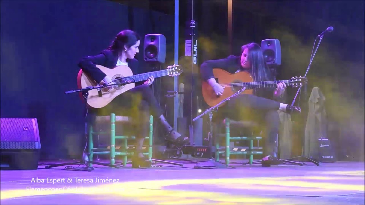 Cartel o imagen de Musical flamenco "Dos mujeres, dos guitarras, un arte... El Flamenco"